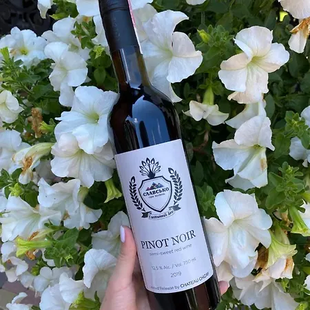 Hostynnyy Dvir & * Slawske