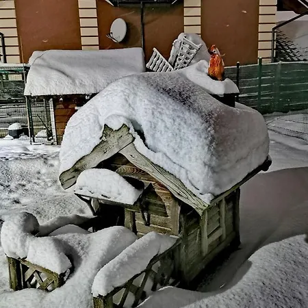 Vila Hostynnyy Dvir & *