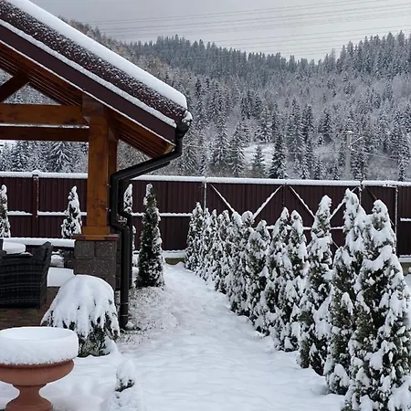 Hostynnyy Dvir & Villa *